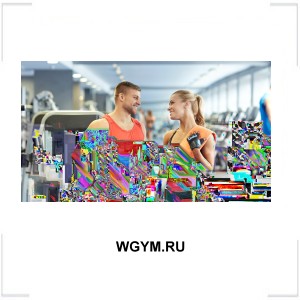 WGYM.RU WGYM.RU